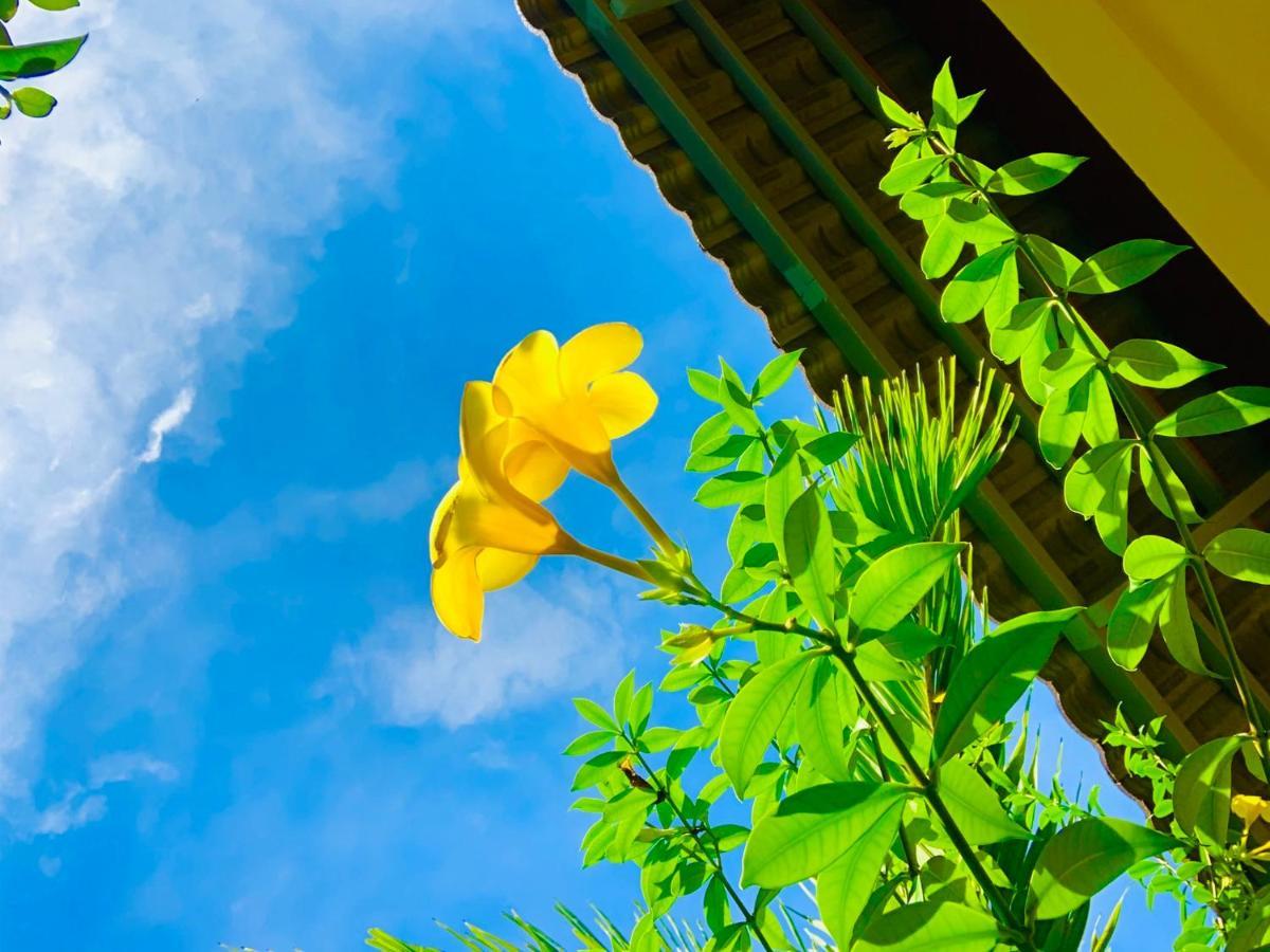 Canary Bungalow Phu Quoc Esterno foto